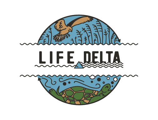 1_life_delta_logo_sokol_zolw_kolor.png (507×384)